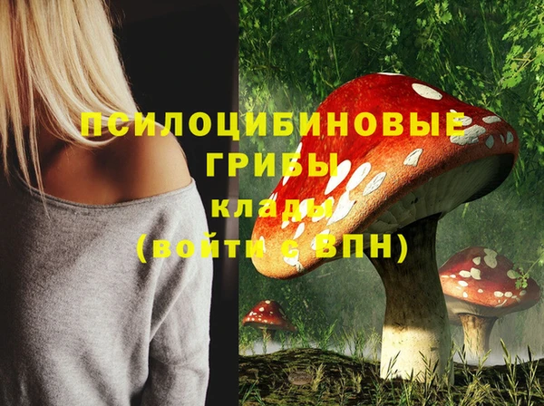 молекула духа Наволоки
