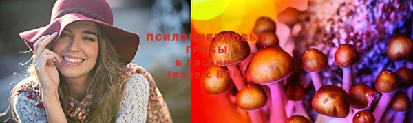 молекула духа Наволоки