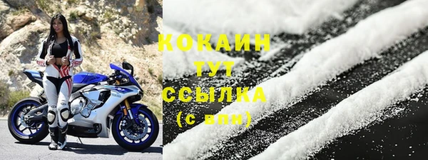 PSILOCYBIN Болохово