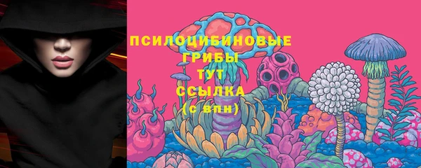 молекула духа Наволоки