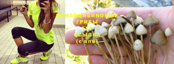 мескалин Надым